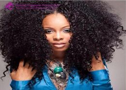 300 Density 8A Glueless Full Lace Human Hair Wigs For Black Women Brazilian human Hair Kinky Curly Lace Front Wig89247571582840