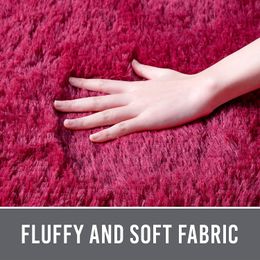 Premium Velvet Fluffy Area Rug Plush Soft Carpet Extra Comfy Furry Rugs Modern Cute Carpets for Nursery Kids Living Room Carpet