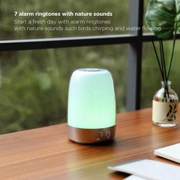 Sunrise Wake Up Alarm Clock Night Light, Alarm & Snooze, 5 Color Night Light, Auto Color Change, Night Light Timer