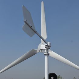 FLTXNY Wind Turbine Generator 5000W 3000W Alternative High Efficiency Level Free Energy Windmill With Grid-Conected