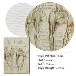 Leonardo Da Vinci Vitruvian Man Art Poster Vintage Anatomy Canvas Painting Wall Picture Art Prints Doctor Office Home Decor