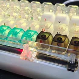 Accessories Fog White Keycaps for Mechanical Keyboard PBT Keycap 104 Keys OEM Profile Backlight RGB DIY Blank Clear Key Cap Mx Switch