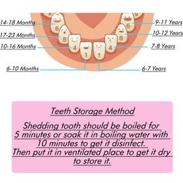 Wooden Baby Kids Tooth Storage Box English/Spanish/French/Russian/Italian Teeth Umbilical Lanugo Organiser Gift Keepsakes Save