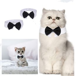 Cat Tuxedo Collar Black Dog Bow Tie Necktie Adjustable Puppy Tux Collar for Small Pets Weddings Birthday Party Accessories NEW*