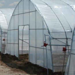 1m Width 2 3 4m PE Agricultural Greenhouse Film Highly Transparent Film Garden Greenhouse Plant Keep Warm Clear Plastic Film