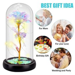 Vases Rose In Glass Dome Colorful A Light Lamp Multifunctional LED Eternal FlowerOrnament ForValentine Gift Supply