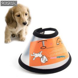 Puppy Dog Cone Elizabethan Collar Pet Dog Protective Wound Healing Prevent Lick Collars Mascotas Isabelino Perro New