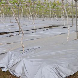 25m 0.012mm Silvery Black Reflective Plastic Mulch Film Agricultral Orchard Tee Planting Film Garden Fruits Plants Care Cover
