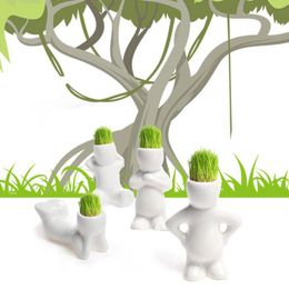 4 Shape Choose Diy Mini Novel Bonsai Grass Doll Hair White Lazy Man Plant Garden Bonsai Head Grass Doll Plant Garden Diy Min