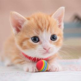 Rainbow Cat Toy Ball EVA Foam Interactive Pet Ball Toys for Chewing Playing Teeth Grinding Funny Kitten Supplies Toys for Cats