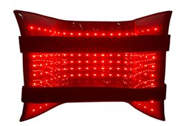 Red Light Slimming Belt Pon Wrap Massage Therapy Mat 1 buyer3057343