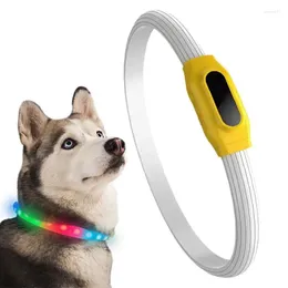 Dog Collars Light Up Flashing Gloowing In The Dark Leassh Rechargeable 12 Mode Rainproof Pet Collar Supplies