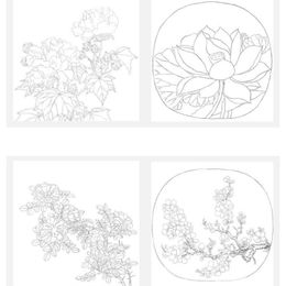 Meticulous Painting Line Drawing Manuscript Colorable Traditional Chinese Painting Ripe Xuan Paper Flowers and Birds Hook Line