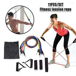 Resistance Bands Fitness Training Tension Rope 11pcs/set Multi-functional Exercise Band Yoga Body Muscle