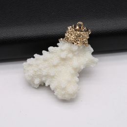 1PC Natural Rough White Coral Pendant Irregular Raw Sea Coral Charms for Women DIY Making Necklace Earring Jewellery 20x40-30x50mm