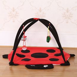 Beetle Cat Tent, Pet Litter Toy, Striped Play, Wholesale