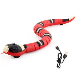 Cat Toy Electronic Snake Interactive Supplies For Accessories Interesting Things Small Games Kittens All Smart Movement Dog Pets