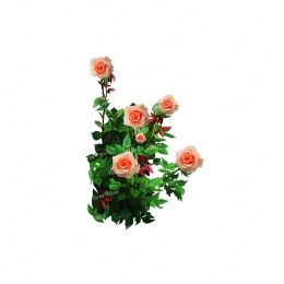 Three Ratels QCF213 Beautiful rose branches wall sticker art for home decoration