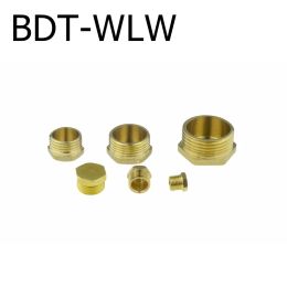 Brass Internal Hex Head Socket End Cap Pipe Countersunk Plug G1/8 1/4 3/8 1/2 PT Male Female Fitting Coupler Connector Adapter