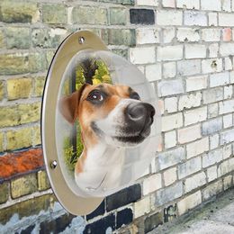 Acrylic Pet Dog Cat Door Space Window for Wall Security Flap Gate Pet Tunnel Peephole Dog Fence Window for Home Treat Pet Autism