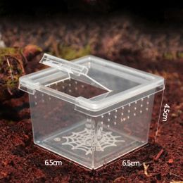 Reptile Acrylic Cage Breeding Habitat Lizard Snake Amphibian Frog Spider Box Transparent Insect Breathable Terrarium