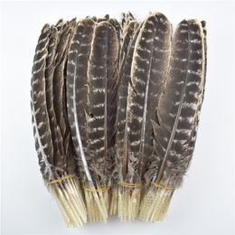 10Pcs/Lot Real Natural Turkey Feather Eagle Bird Feathers for Crafts Diy Decor Carnaval Plumes Wedding Accessories Decoration