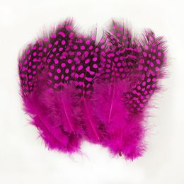 Small Feather! 200Pcs/Lot 5-10cm Multicolor Guinea Fowl Spotted Feathers Loose Guinea Hen Feathers,craft feathers,