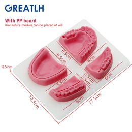 Dental Suture Training Module Silicone Four-teeth Oral Suture Module Periodontitis Suture Model Dental Model