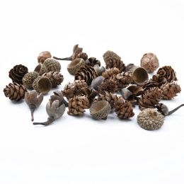 50PCS MINI Lovely Natural Dried Flower Pinecone Series Christmas Decorations for Home Diy Gifts Box Artificial Plants