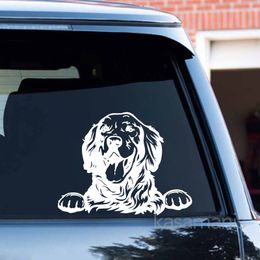 Golden Retriever Vinyl Sticker Car Window Door Bumper Decals Dog Lover Gifts Pet Goldie Paw Decal For Laptop Decorative