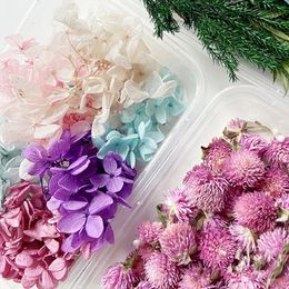 1 Box Natural Real Dry Flower Dried Plants DIY Epoxy Resin Pendant Necklace Jewelry Aromatherapy Candle Making Craft Accessories