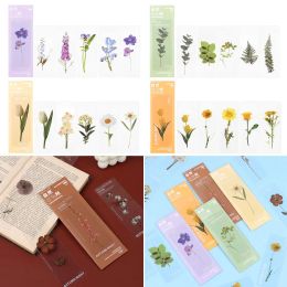5Pcs/Set Nature Plants Flower Ins Style Bookmarks Card Translucent Flower Book Note Marker Page Holder PET Reading Bookmarks