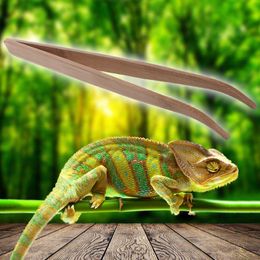 Long Super Reptile Wood Tweezers Clips 28 cm and 16.5 cm Frog Spider Tool Litter Terrarium Cleaning and Feeding Tweezers Clip