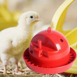 5 Styles Chick Drinking Bowl High Capacity Automatic Plastic Detachable Poultry Waterer for Pet Watering Feeding Accessories