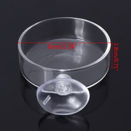 Fish Tank Feeder New Arrival Aquarium Shrimp Glass Feeding Bowl Clear Dish Tray