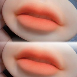 5D Facial Tattoo Training Lip Silicone Practice Permanent Makeup Lip Eyebrow Tattoo Skin Mannequin Doll Face Lip