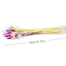 20pcs Natural Dried Flowers White Artificial Flowers Colorful Fake Rabbit Tail Grass Bouquet Long Bunches