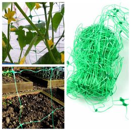 1pc Durable Plastic Plants Climbing Net Yam Vine Plants Towel Gourd Bonsai Flower Grow Support Garden Trellis Netting Fence Net