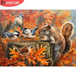 HUACAN 5D DIY Diamond Painting Squirrel Picture Of Rhinestone Diamond Embroidery Cross Stitch Animal Bird Mosaic Fall Decoration