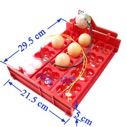 12 Eggs/48 Birds Eggs Incubator Turn Eggs Tray 220V/110V/12V Chicken Bird Automatic Incubator Poultry Incubator Equipment