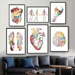 Human Heart Brain Lungs Anatomy Watercolour Art Canvas Painting Anatomy Artwork Poster Prints Wall Pictures Doctor Office Decor