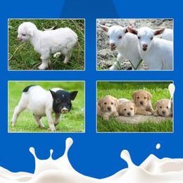 Lamb Teat Feeder Bottle Topper Feeding Milk Drinking for Sheep Goat Nipple Set for Goat, Lamb, Orphaned Small Animal