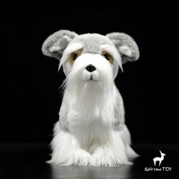 Cute Lifelike Czech Terrier Doll Shiba Inu Collie Samoyed Animal Model Miniature Schnauzer Dog Plush Toys