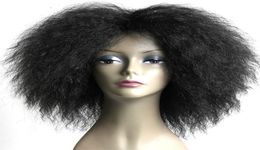 Wig Short Fluffy Hair Afro Kinky Curly Black Brown Natural Heat Resistant Synthetic Cosplay Wigs for Black Women4668608