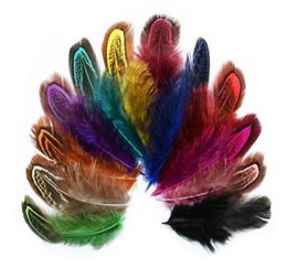 100pcs 610cm Pheasant Feather Tails Tail Feathers Fan For Craft Sewing Apparel Wedding Party Home Decoration9162364