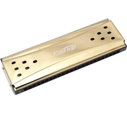 Easttop Harmonica Tremolo, Diatonic Mouth Organ, Blues Harp, Both Side, Key C G, Musical Instruments, 10, 24 Holes