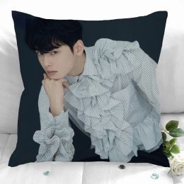 New Custom Cha Eun Woo Pillowcases Printed Square Pillowcase Home Decorative Zipper Pillow Cover 35X35cm40X40cm Double-Sided