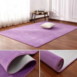 160 x230 Short-haired coral velvet carpet living room floor mat coffee table mat bedroom blanket bed rug floor mat door cushion