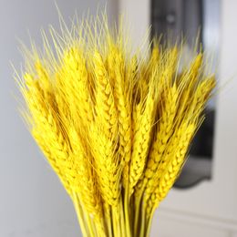 40-50CM Natural Dried Wheat Ear Flower Arrangement Real Wheat Stalks Grain Bouquets DIY Craft for Office Home Festiv Decoration