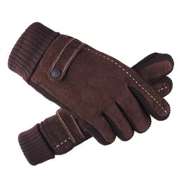 Winter Thickened Plus Velvet Bike Gloves Pigskin Gloves Men's Riding Motorcycle Cold-proof Warm Gloves